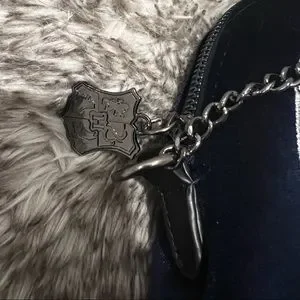 Danielle Nicole Bags Beautiful Danielle Nicole Velvet Harry